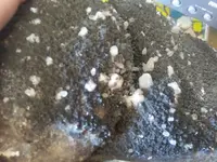 20190818_135939.webp