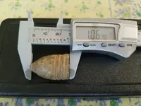 20190726_132524.webp