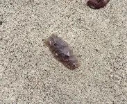 20190903_163049.webp