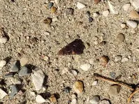 20190903_163104.webp
