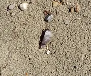 20190903_163120.webp