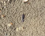 20190903_163231.webp