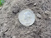 1943 quarter.webp