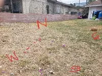 20190806_192237-ccfopt.webp