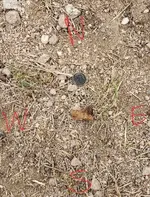 20190806_183525-ccfopt-1.webp