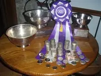 P4300211.webp