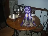 P4300210.webp