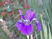 52608_025 A.webp