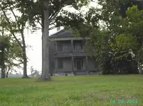 PLANTATION1.webp