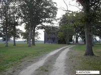 PLANTATION2.webp