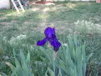 52608_034 A.webp