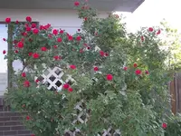 52608_023 A.webp