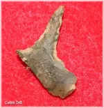 caddo drill.webp