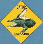 gator1.webp