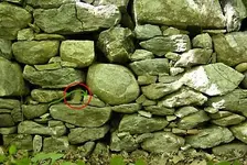 Wall.webp