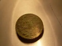 Field finds 5-1-08 007.webp