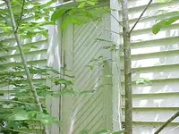 Beulah Church door.webp