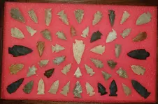 New Trays (1).webp
