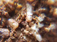 20190806_184940.webp