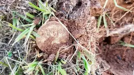 20190727_183844.webp