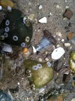 photo - 2019-04-08T105512.677.webp