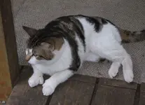 DSCF9339.webp