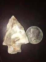ImageUploadedByTreasureNet.com1565171315.495374.webp