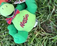 RFnoviYauAsIs8-18-19.webp