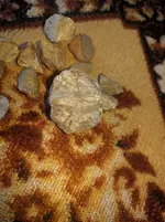 IMG_20190916_183903.webp