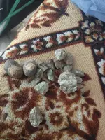 IMG_20190916_183940.webp