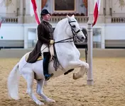 47406792992_41b3e01caf_h.webp