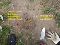 Finds 7-22-19 003.webp