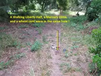 Finds 7-22-19 004.webp