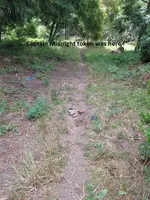 Finds 7-22-19 005.webp
