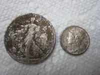 Finds 7-22-19 009.webp