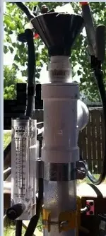 MY GOOSE TOP CORRECT ORIENTATION cleaned up image.webp