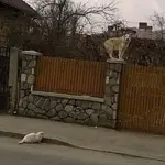 WtbYyzvq_2019827152624.webp