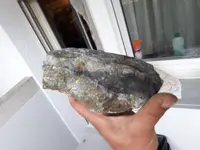 20190807_160226.webp