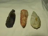 DSCN0465.webp