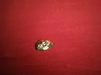 20190728_101135.webp
