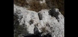 Screenshot_20190905-002700_Gallery.webp