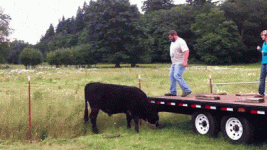 b30ebafe412be0e4d01eddb045f83d2c.gif b30ebafe412be0e4d01eddb045f83d2c.gif