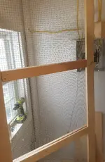20190807_154246.webp
