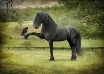 beef02b02c0f3be523750937e479da34.webp