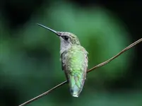 K1600_DSCN6889.webp
