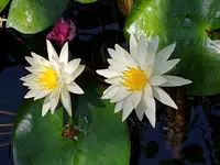 20190811_124734.webp 20190811_124734.webp