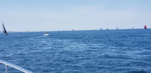 20190728_141315.webp