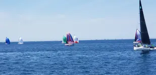 20190728_142920.webp
