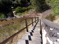 100_0421.webp