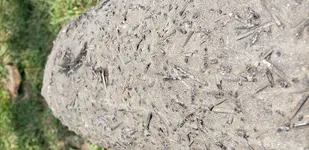 20190728_133728.webp